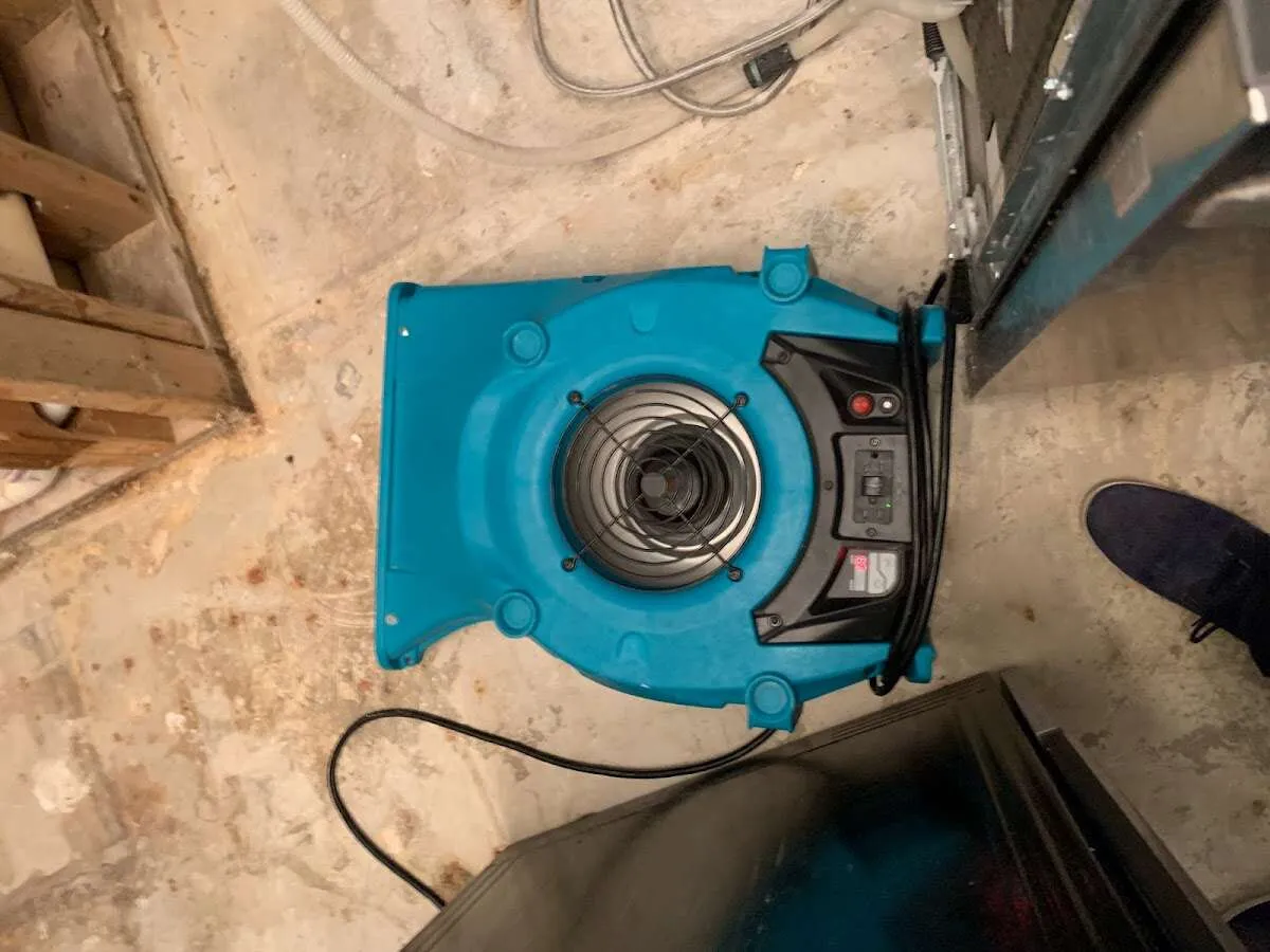 Air mover drying equipment for Mold Remediation & Removal in South Valley